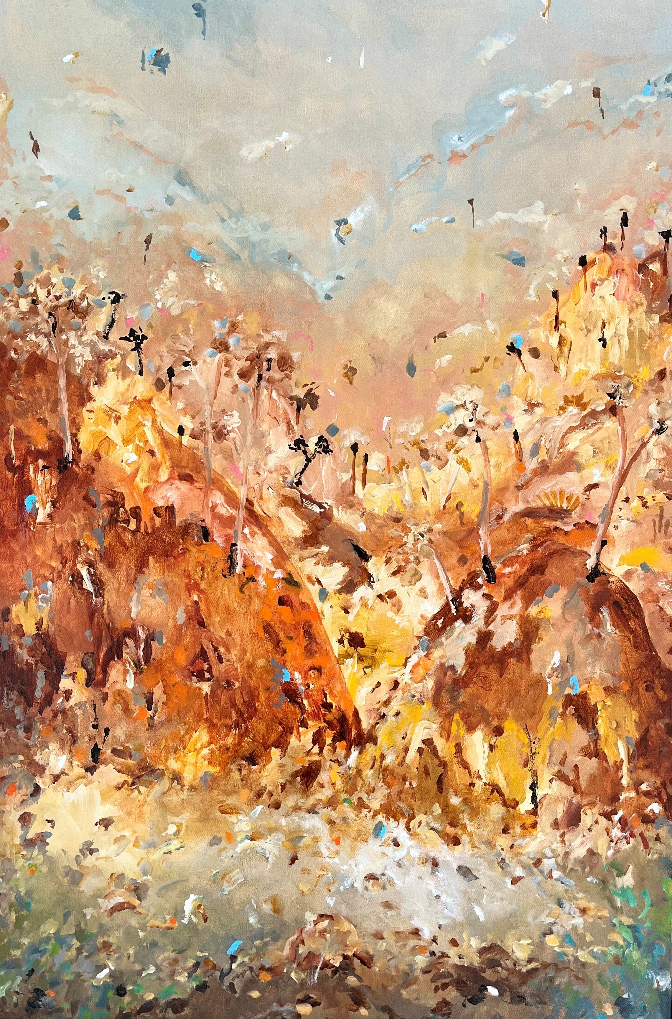 'WEST MACDONNELL'