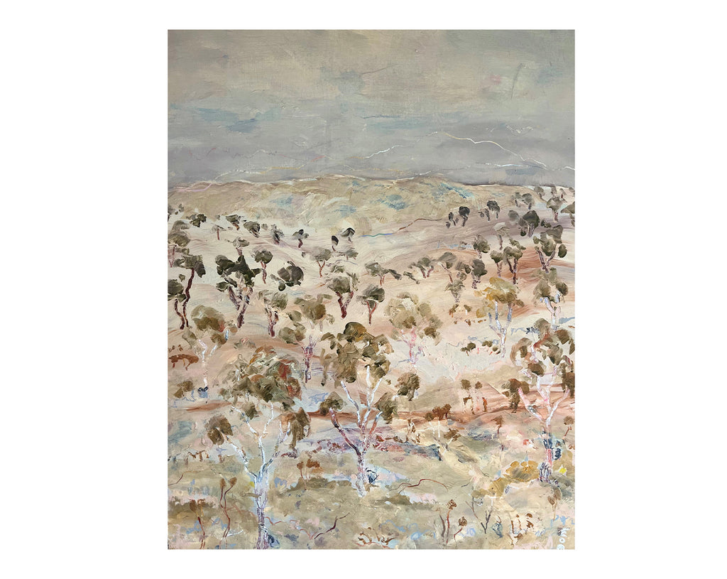 GHOST GUMS