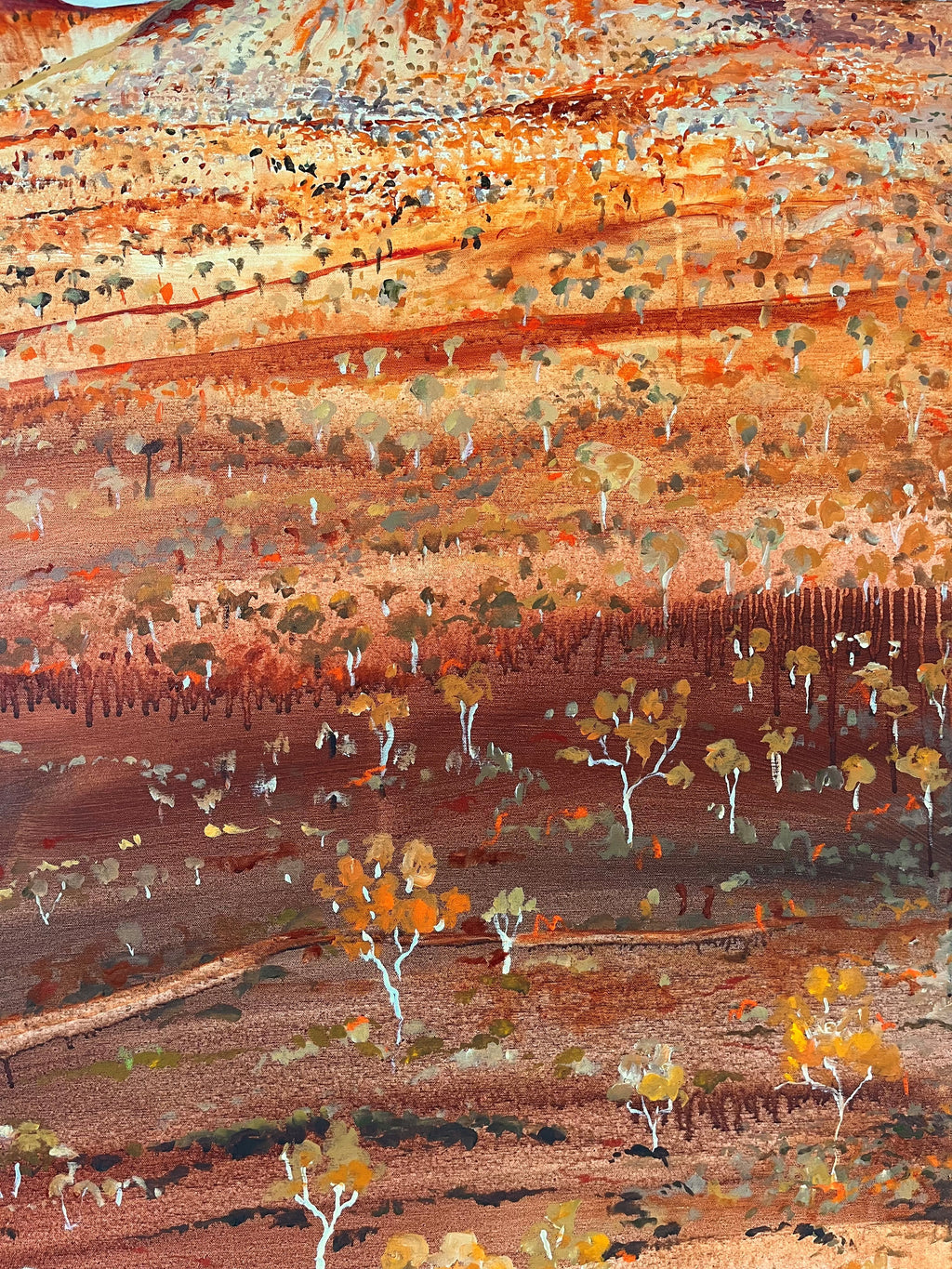 KARIJINI